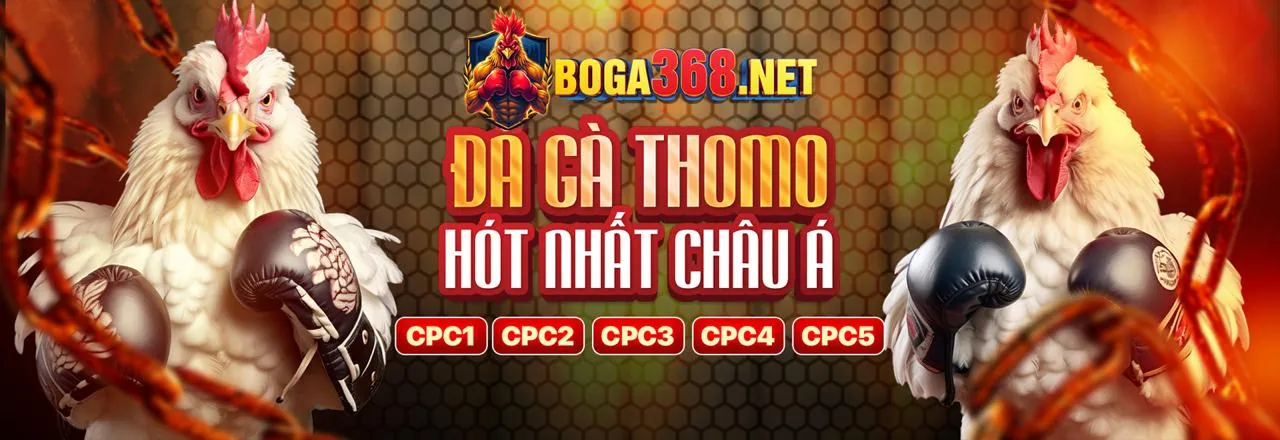 Đá gà trực tuyến full88 nhà cái